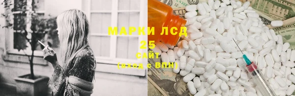 хмурый Алексин
