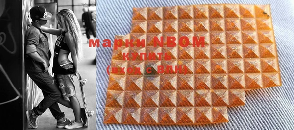 хмурый Алексин