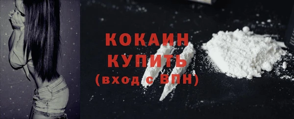 мяу мяу мука Михайловск