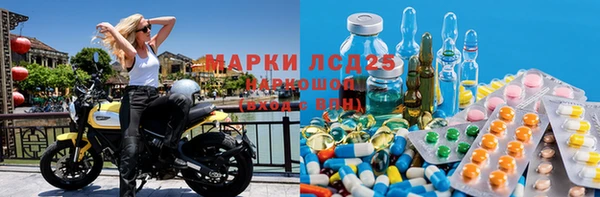 хмурый Алексин