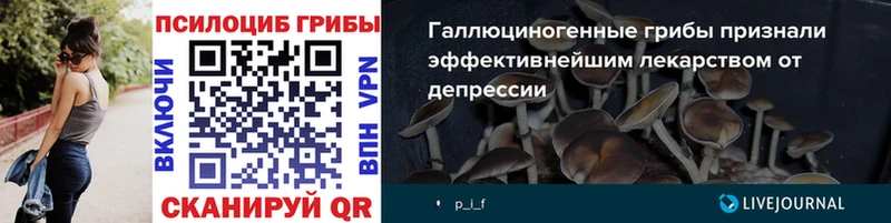 shop состав  Нефтекамск  Псилоцибиновые грибы мухоморы 